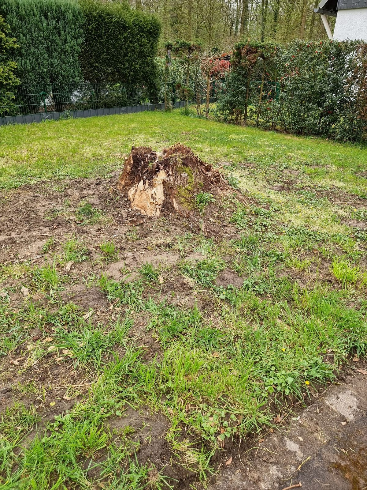 Baggerarbeiten 27