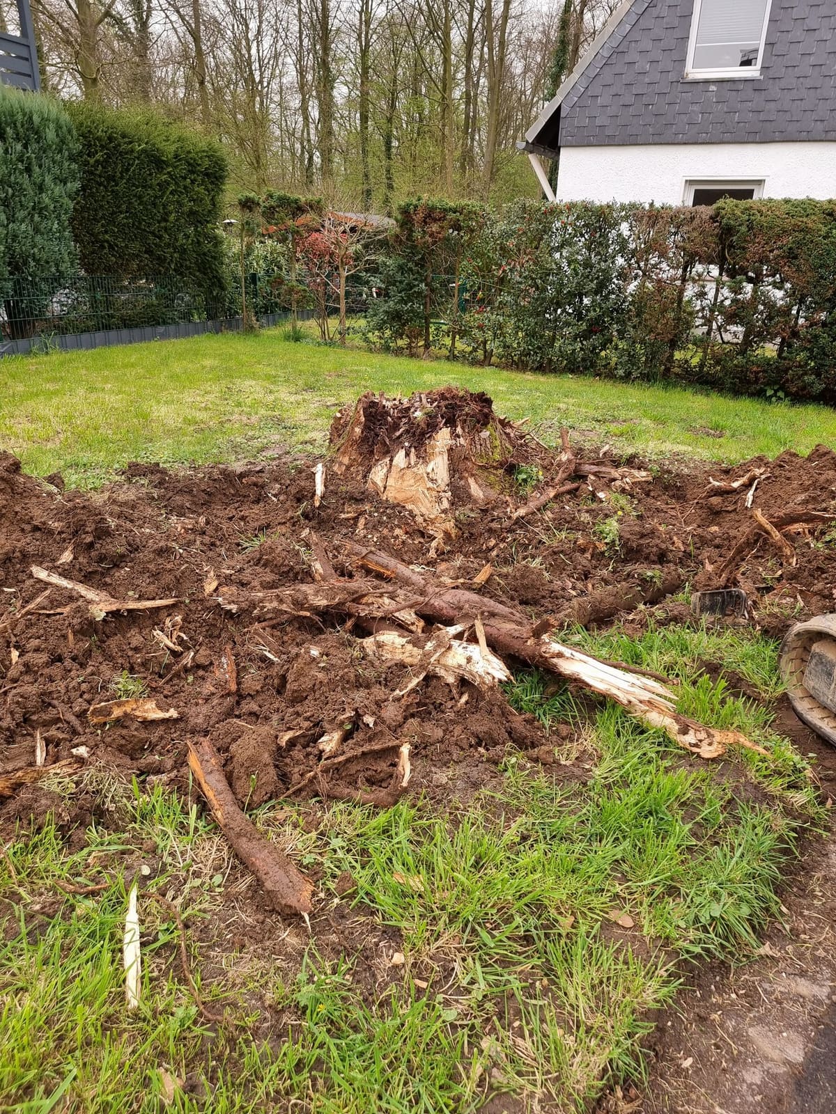 Baggerarbeiten 28