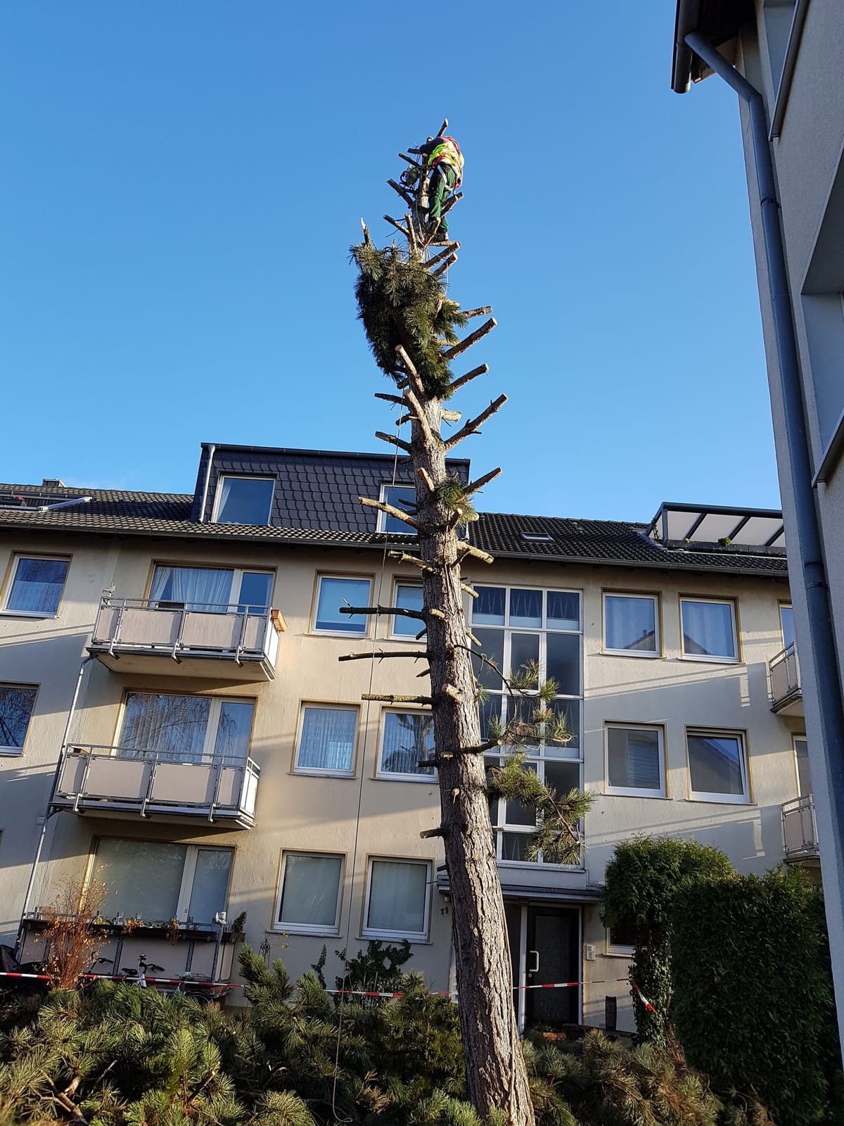 Gartenbau 10