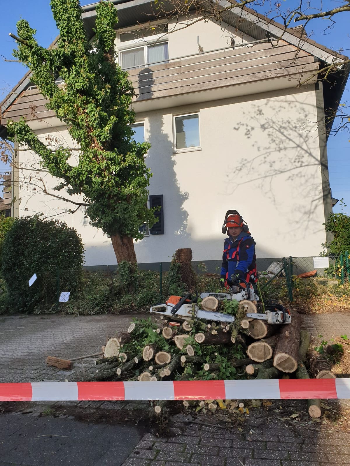 Gartenbau 38