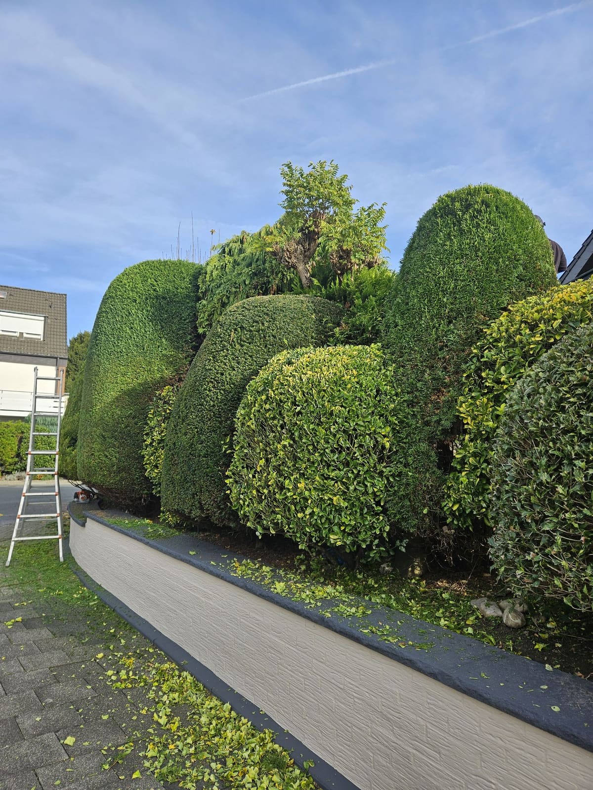 Gartenbau 44