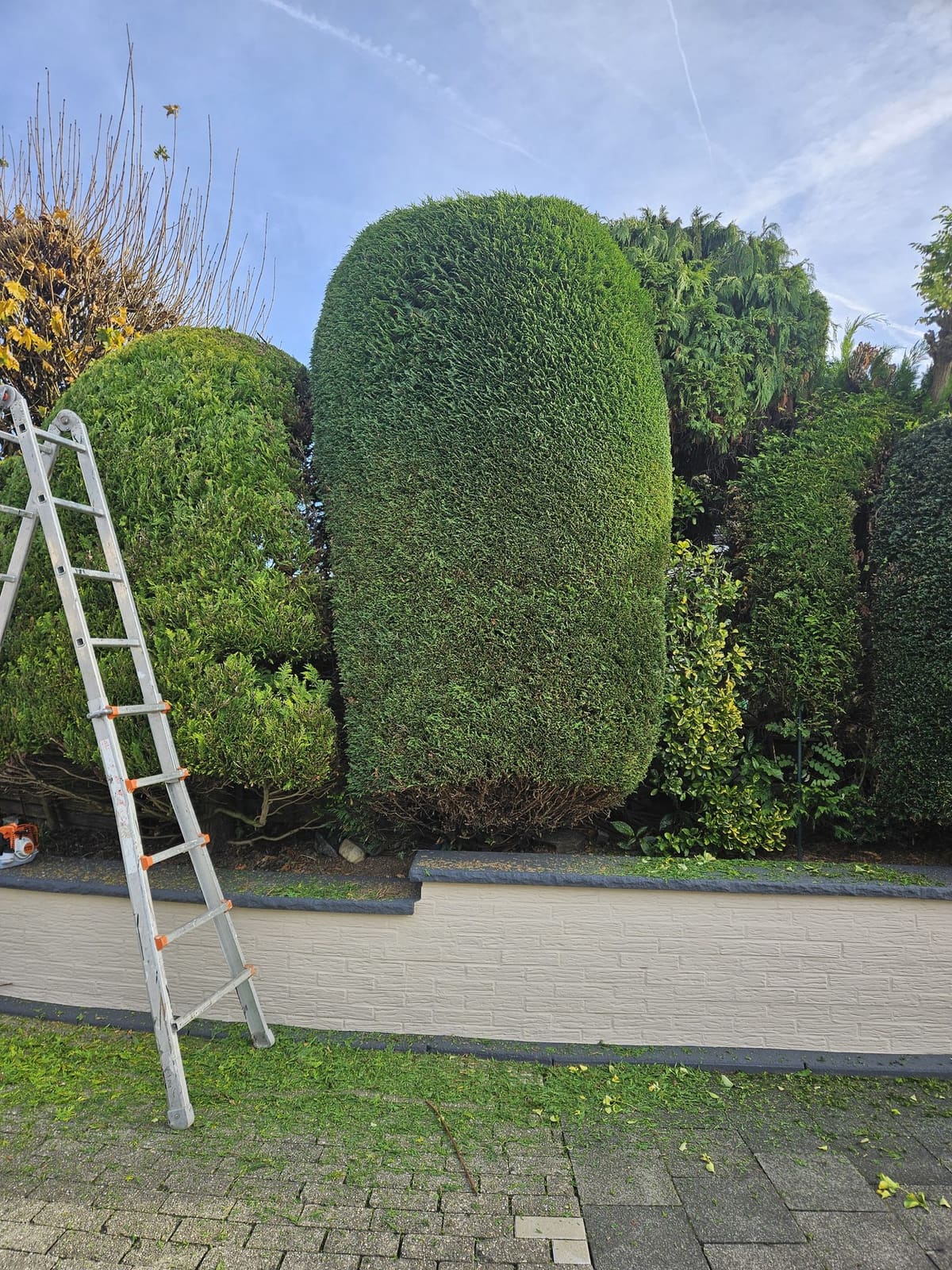 Gartenbau 45