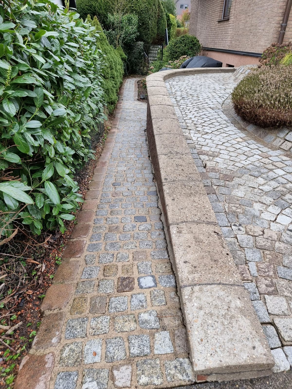 Terrassen- und Pflasterreinigung 29