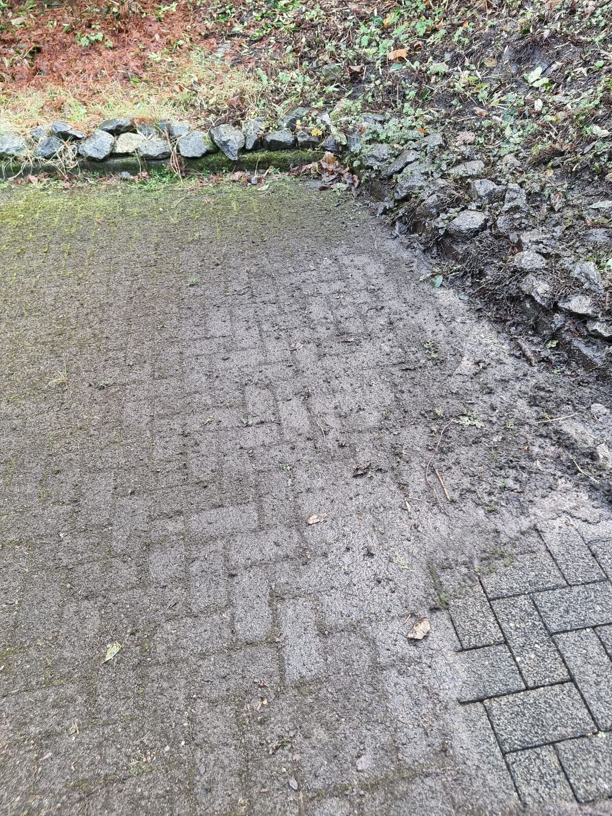Terrassen- und Pflasterreinigung 37