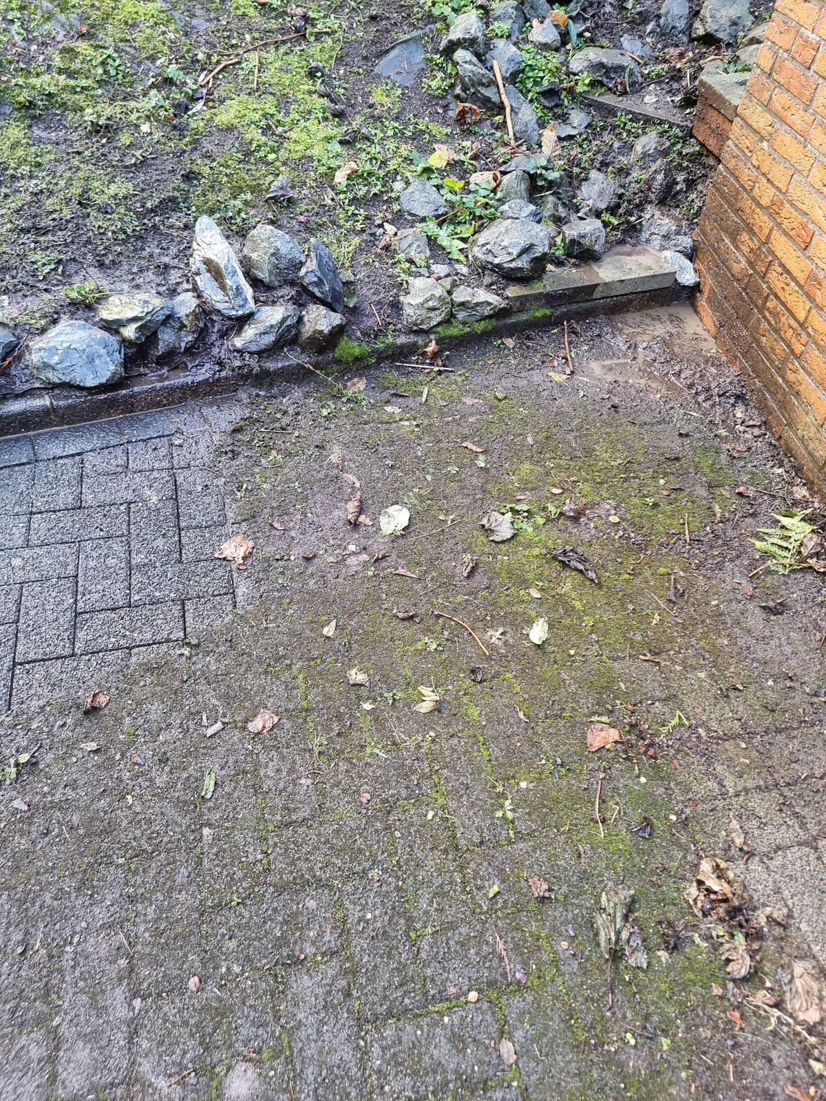 Terrassen- und Pflasterreinigung 38