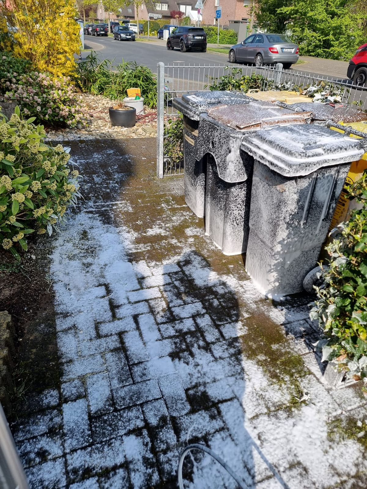 Terrassen- und Pflasterreinigung 44
